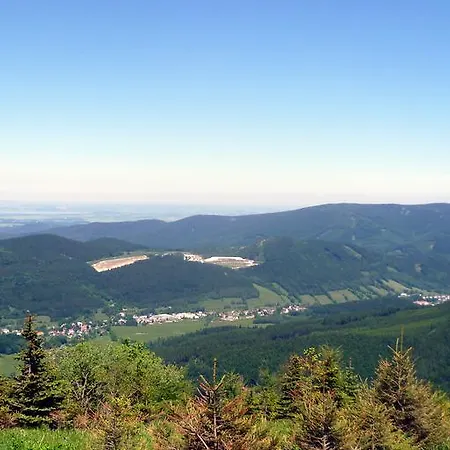Plischke