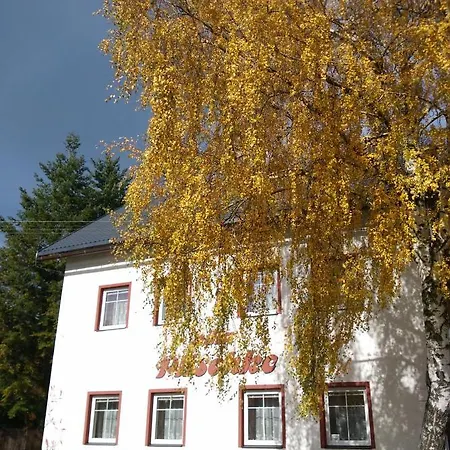 Plischke Penzion Lipová-lázně