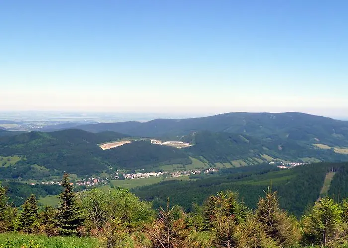 Plischke